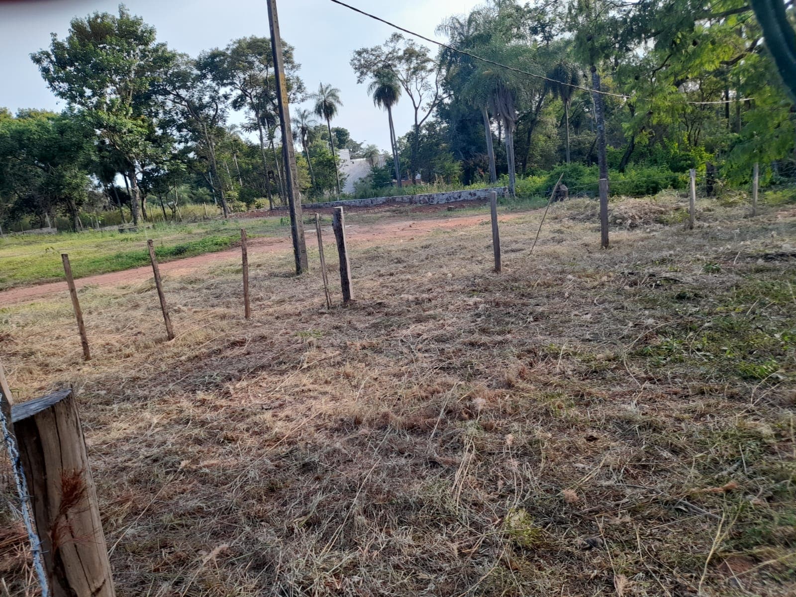 San Bernardino zona ciervo cua a una cuadra de la ruta
