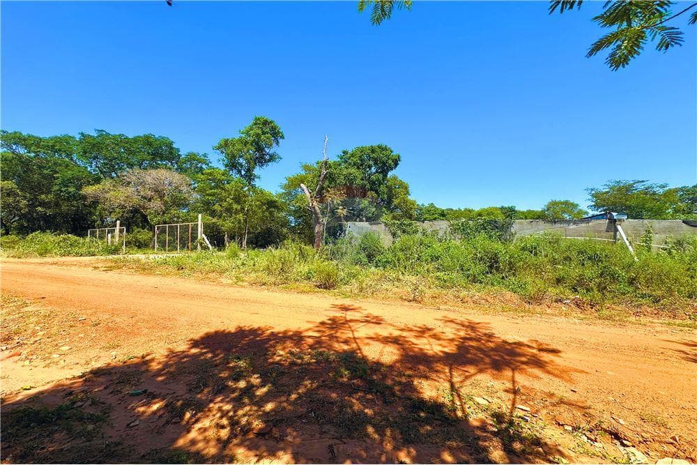 Finca Agrícola - Venta - Nueva Colombia, Paraguay, foto 4