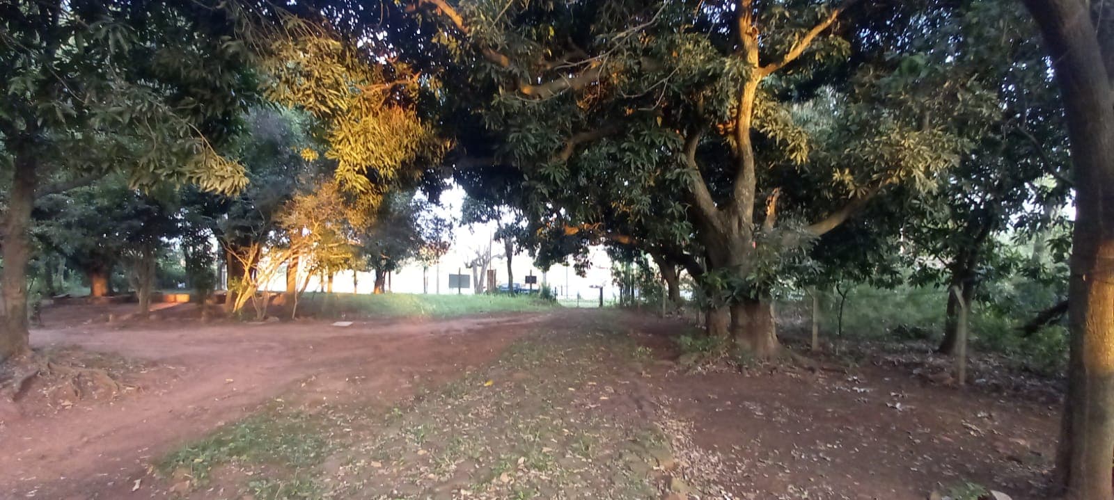 Excelente oportunidad terrenos en guarambare sobre ruta asfaltada, foto 4