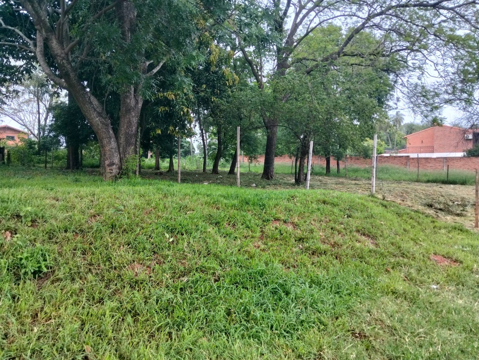 Terreno sobre asfalto en Ñemby!, foto 2