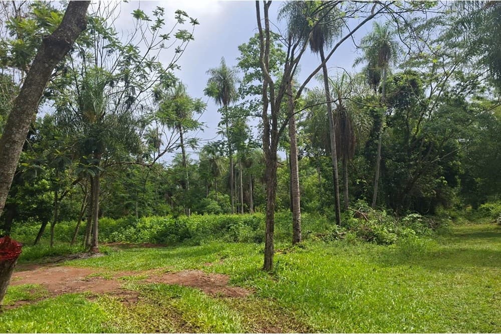Terreno-Venta-Compañia Ybyhanguy 2da, San Bernardino, Cordillera, foto 4