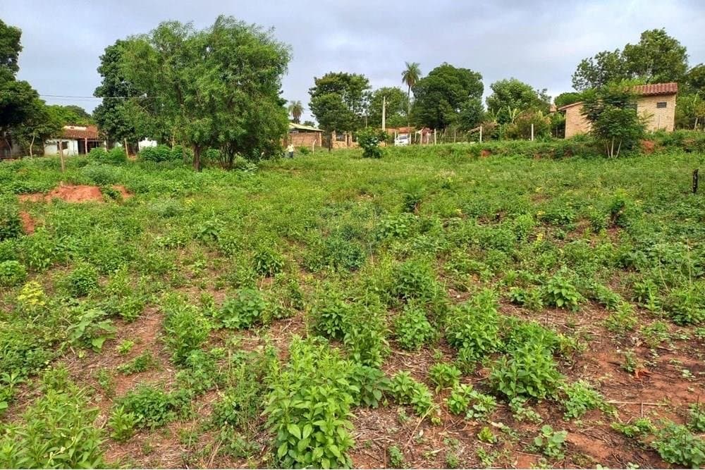 Terreno en venta en Capiatá, excelente ubicación!, foto 1