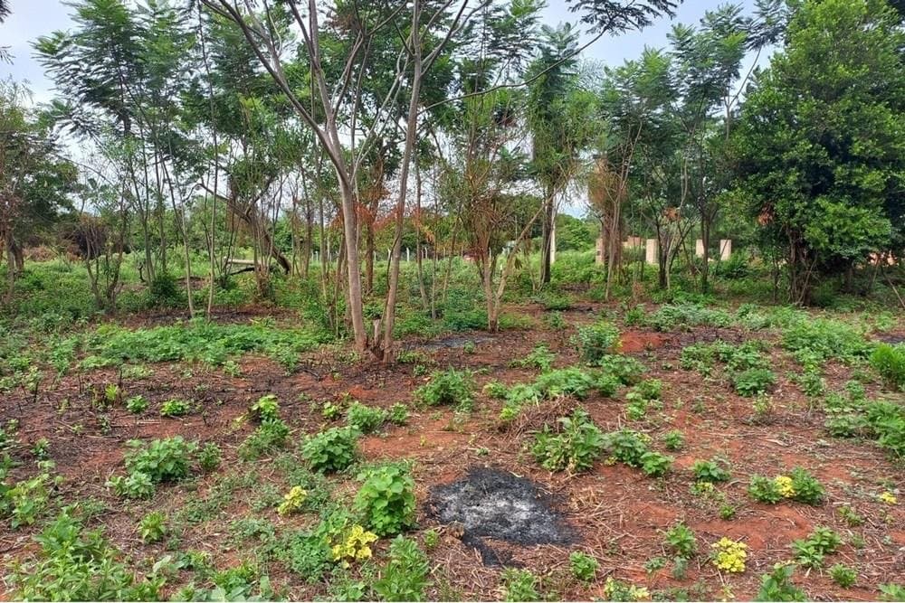 Terreno en venta en Capiatá, excelente ubicación!, foto 2