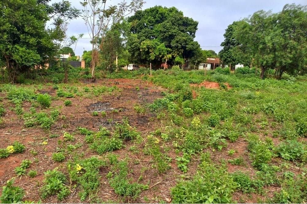 Terreno en venta en Capiatá, excelente ubicación!, foto 4