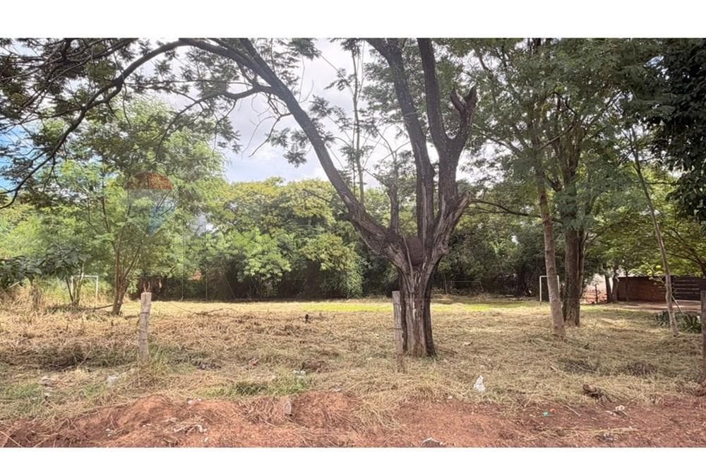 Terreno Limite Campo Grande, foto 3