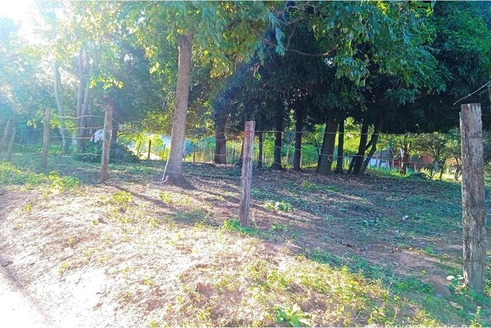 Terreno en la Ciudad de Luque, foto 3