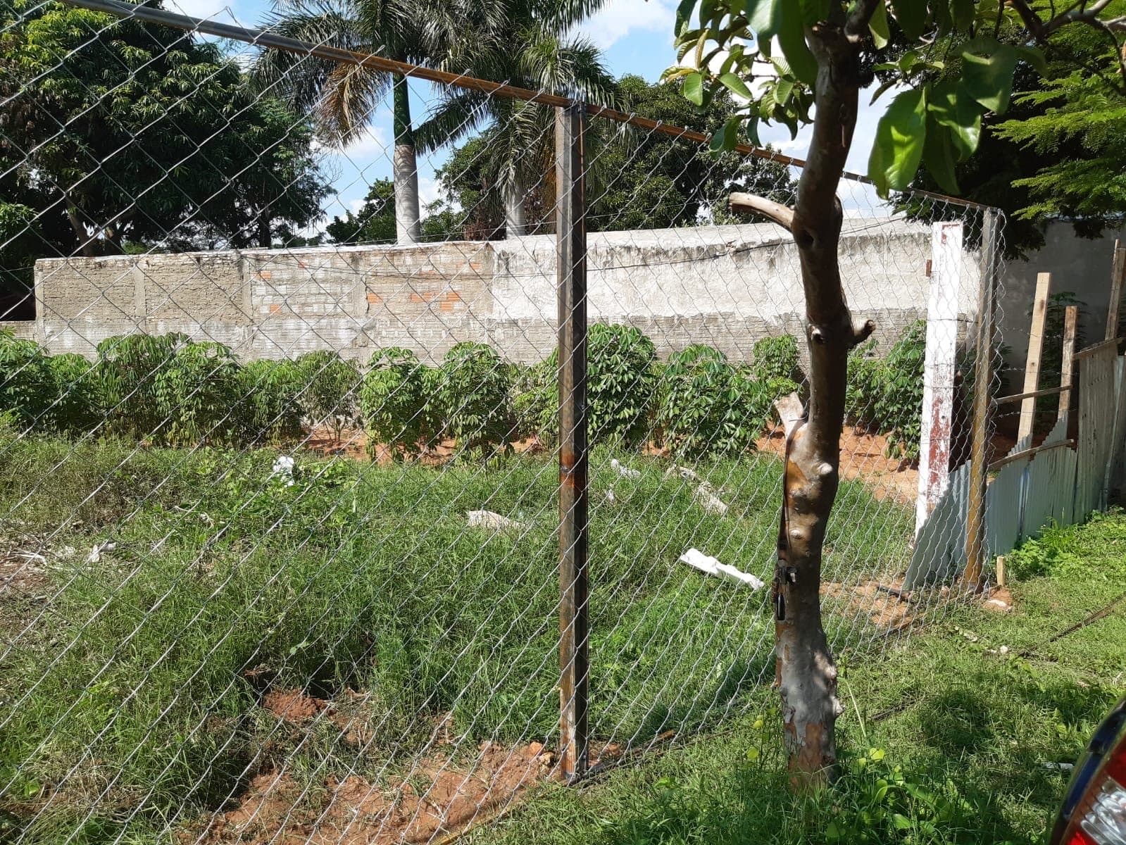 Terreno en Villa Elisa en oferta, foto 2