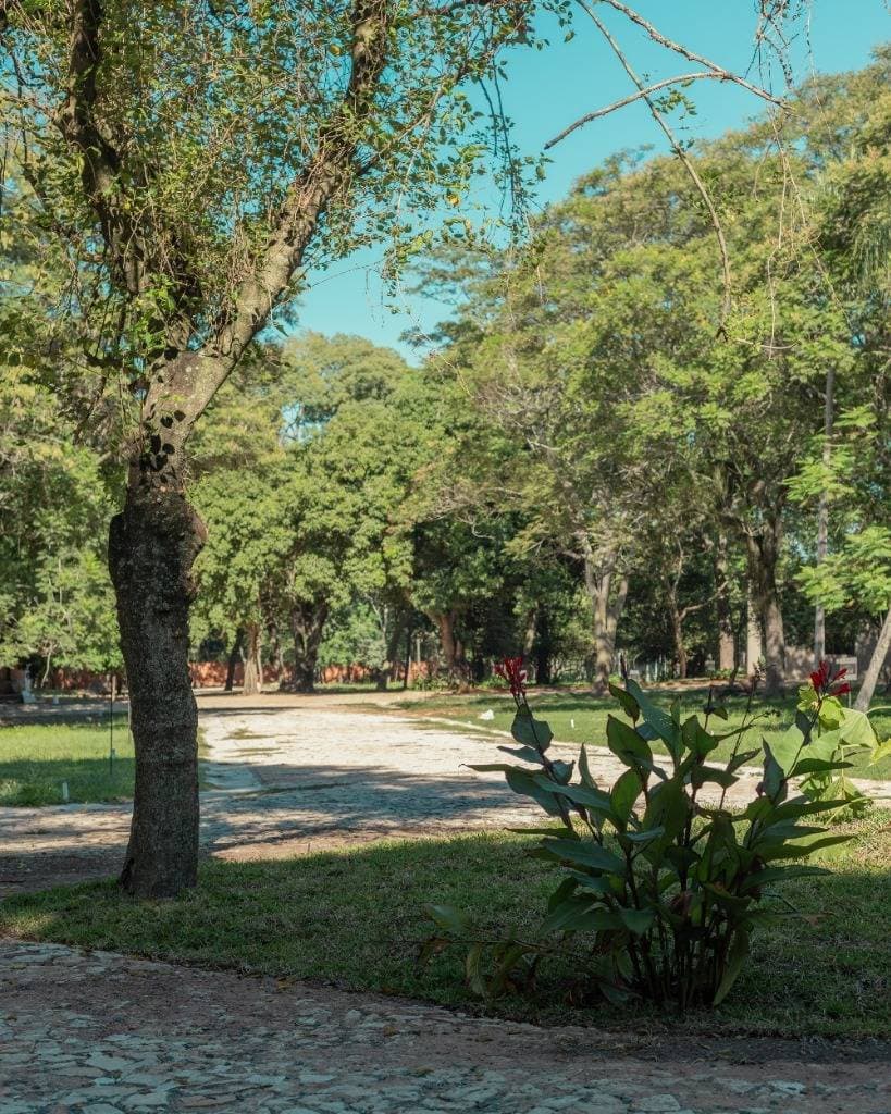 Terreno en Piedras Blancas - San Bernardino, foto 3