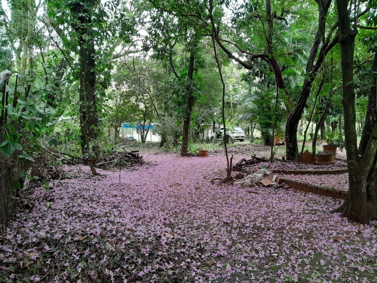 Casa quinta de calle a calle en la ciudad de ita, foto 5