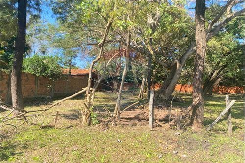 Terreno en venta, central San Lorenzo, foto 4