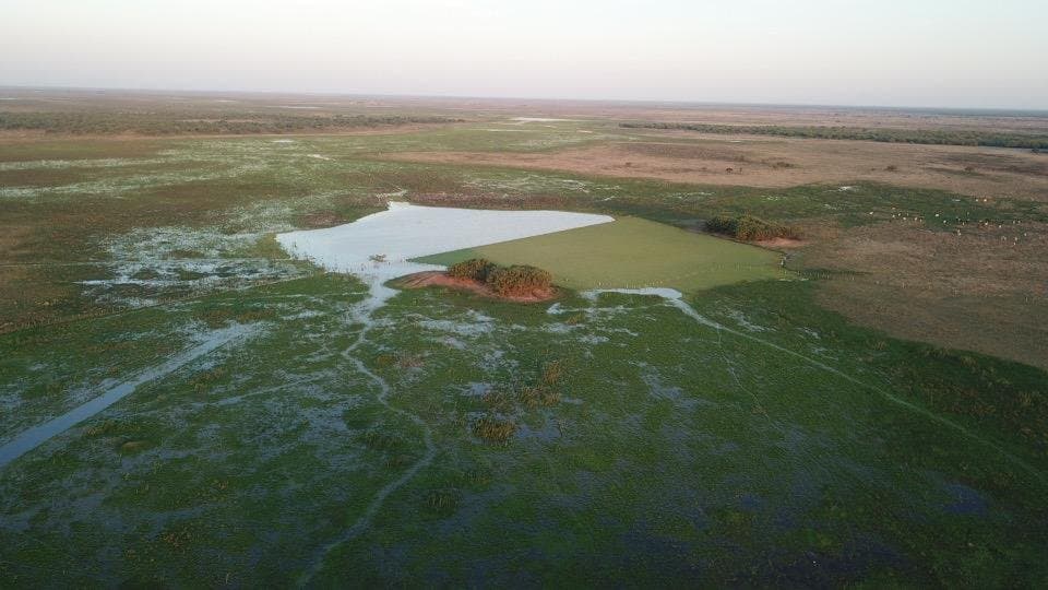 Campo De 921 Hectáreas P/ Cria Ganadera En Tte Esteban Martinez — foto 2