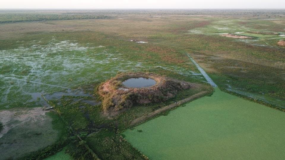 Campo De 921 Hectáreas P/ Cria Ganadera En Tte Esteban Martinez — foto 3