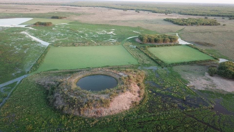 Campo De 921 Hectáreas P/ Cria Ganadera En Tte Esteban Martinez