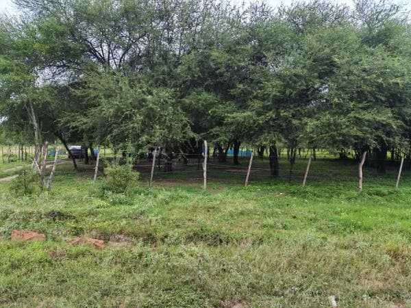 Terreno en chaco'i nueva Asunción, foto 1