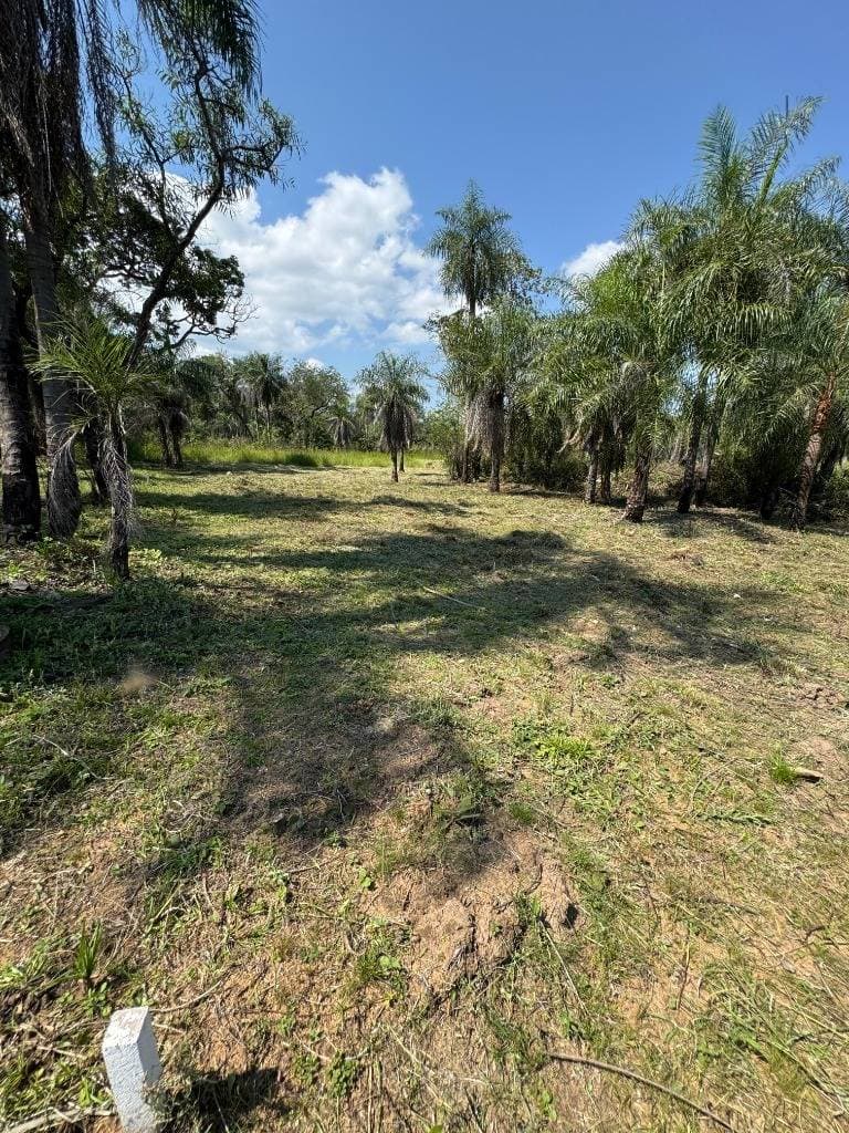 Terreno En Venta En San Bernardino Zona Ciervo Cua
