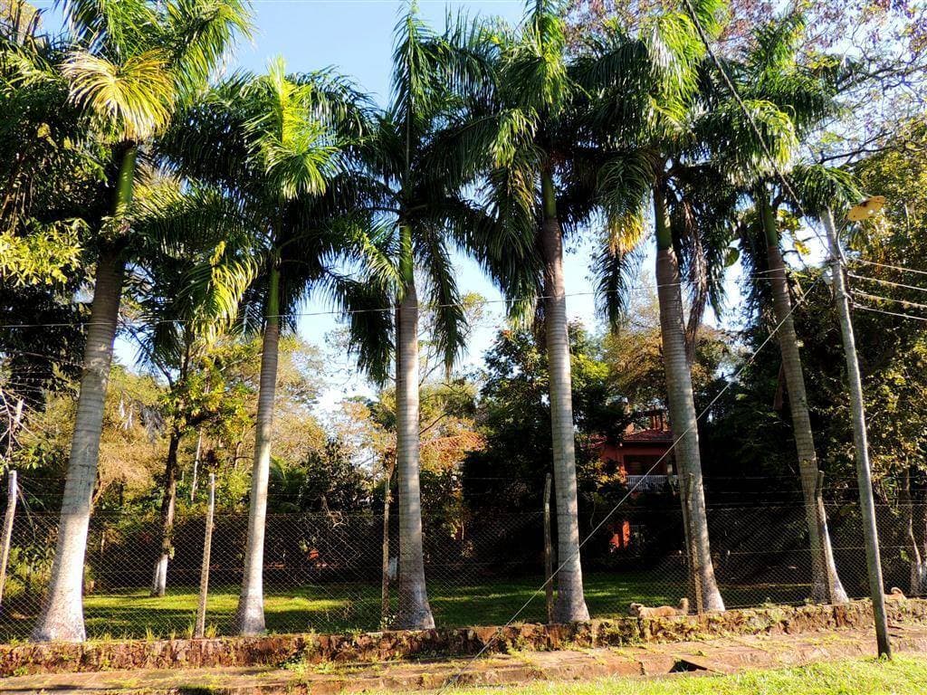 Hermosa Casa Quinta a metros del Lago Ypacaraí, foto 1