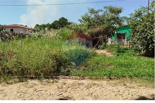 Terreno en venta - limpio, foto 2