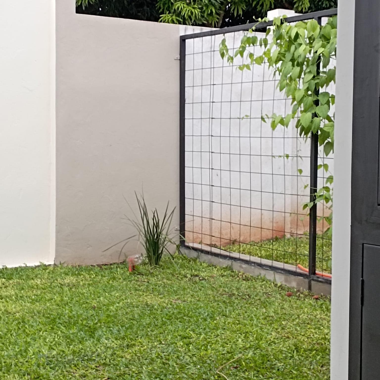 Tu Mejor Inversión: Condominio Los Cántaros En Capiata Zona Consolidada — foto 3