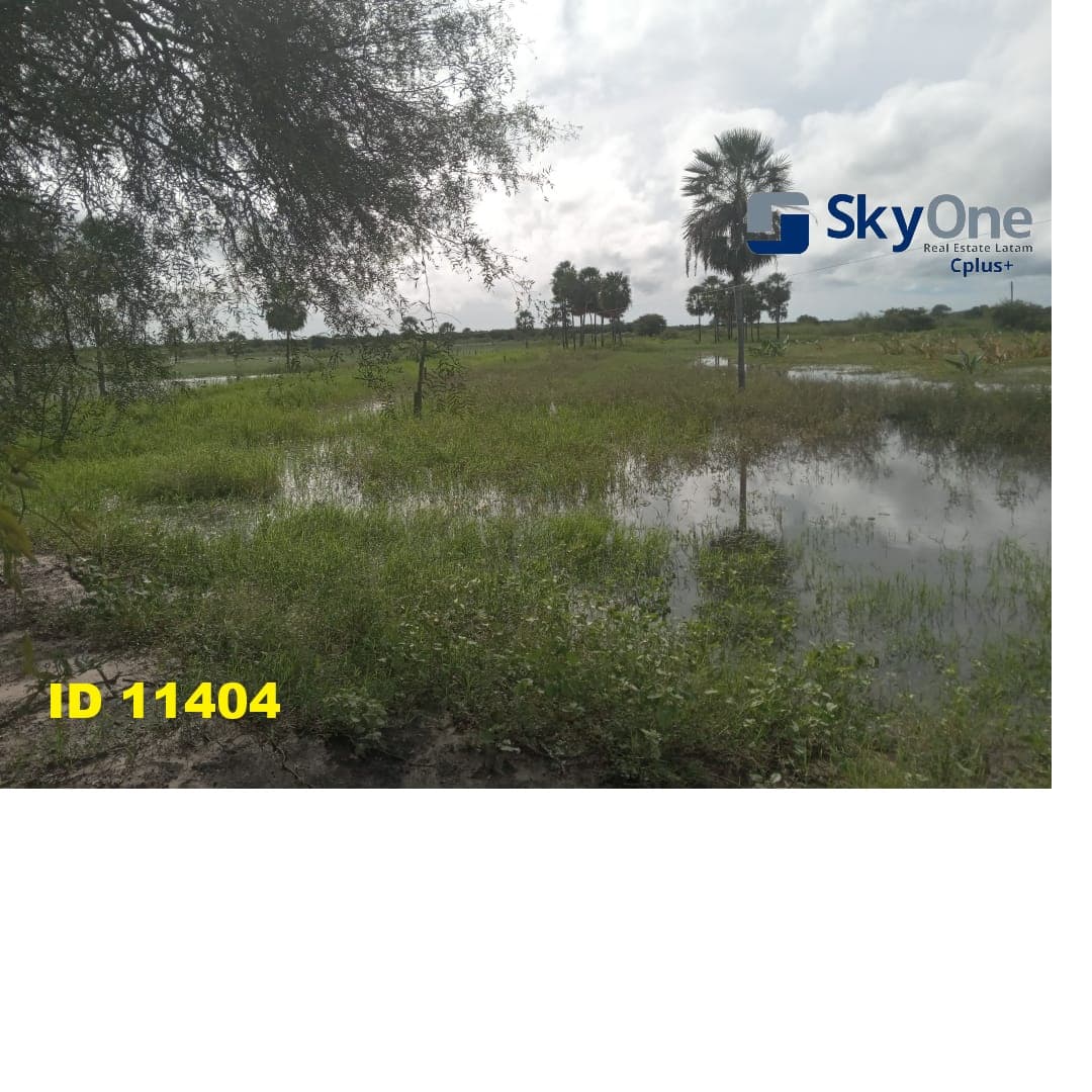 Estancia en alto paraguay-fortin florida, 1600 has — foto 3
