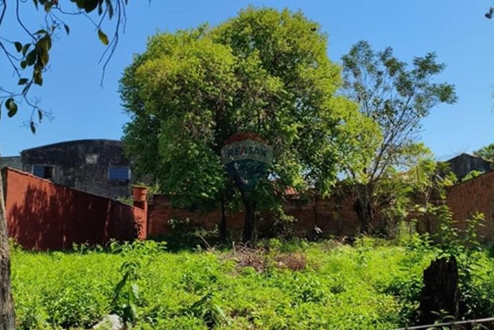 Terreno - Venta - Villa Elisa, Paraguay, foto 5