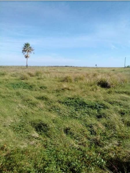 Campo de 4.911 Hectáreas, Zona Arroyos y Esteros - CLCS6233254, foto 1