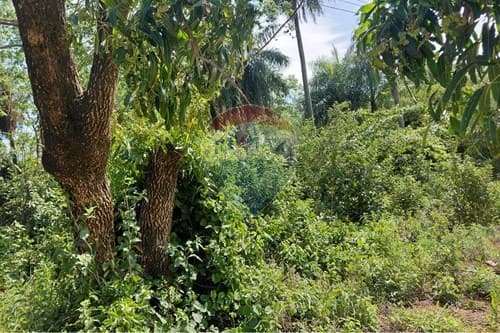 En Venta Terreno De 3731 M2, Situado Sobre La Ruta Nacional - Emboscada, foto 2