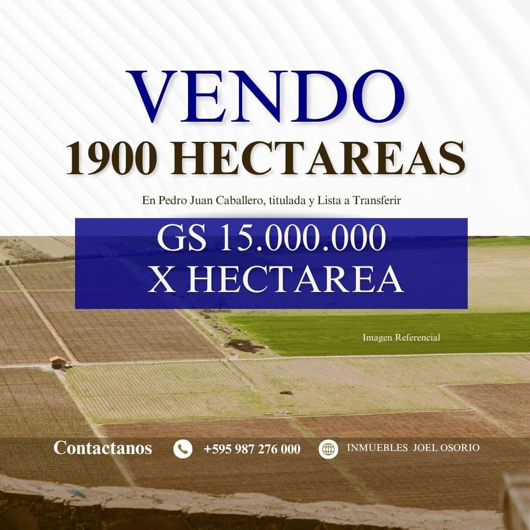 1900 Hectareas en Pedro Juan Caballero - Gs. 15.000.000 por Hectarea — foto 5
