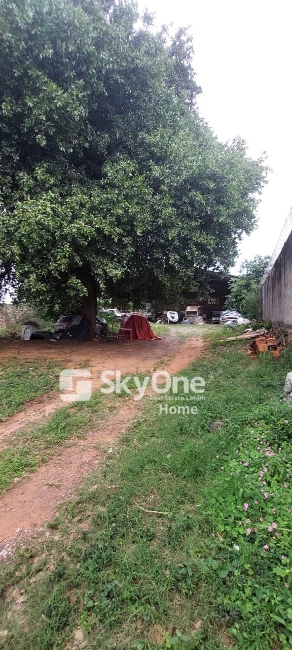 O Alquilo Terreno Con Tinglado, foto 2