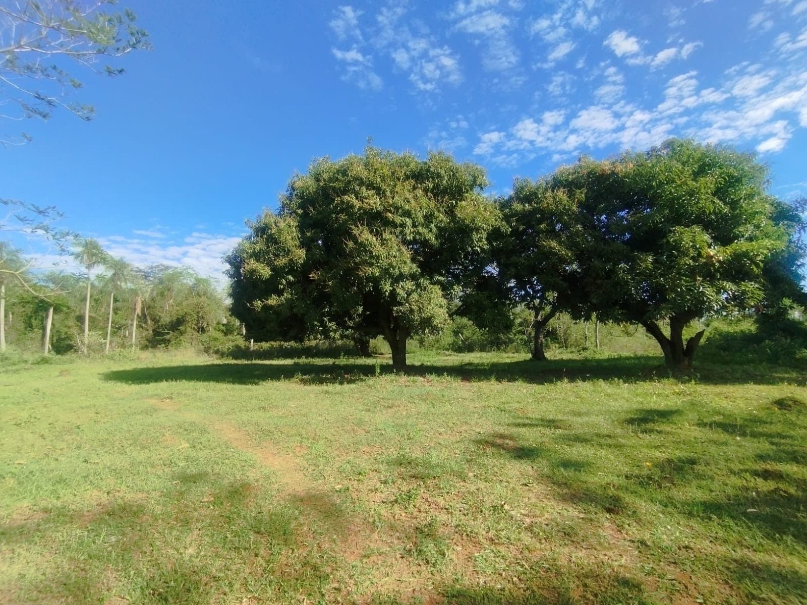En venta amplio terreno en Aregua-Pindolo — foto 2