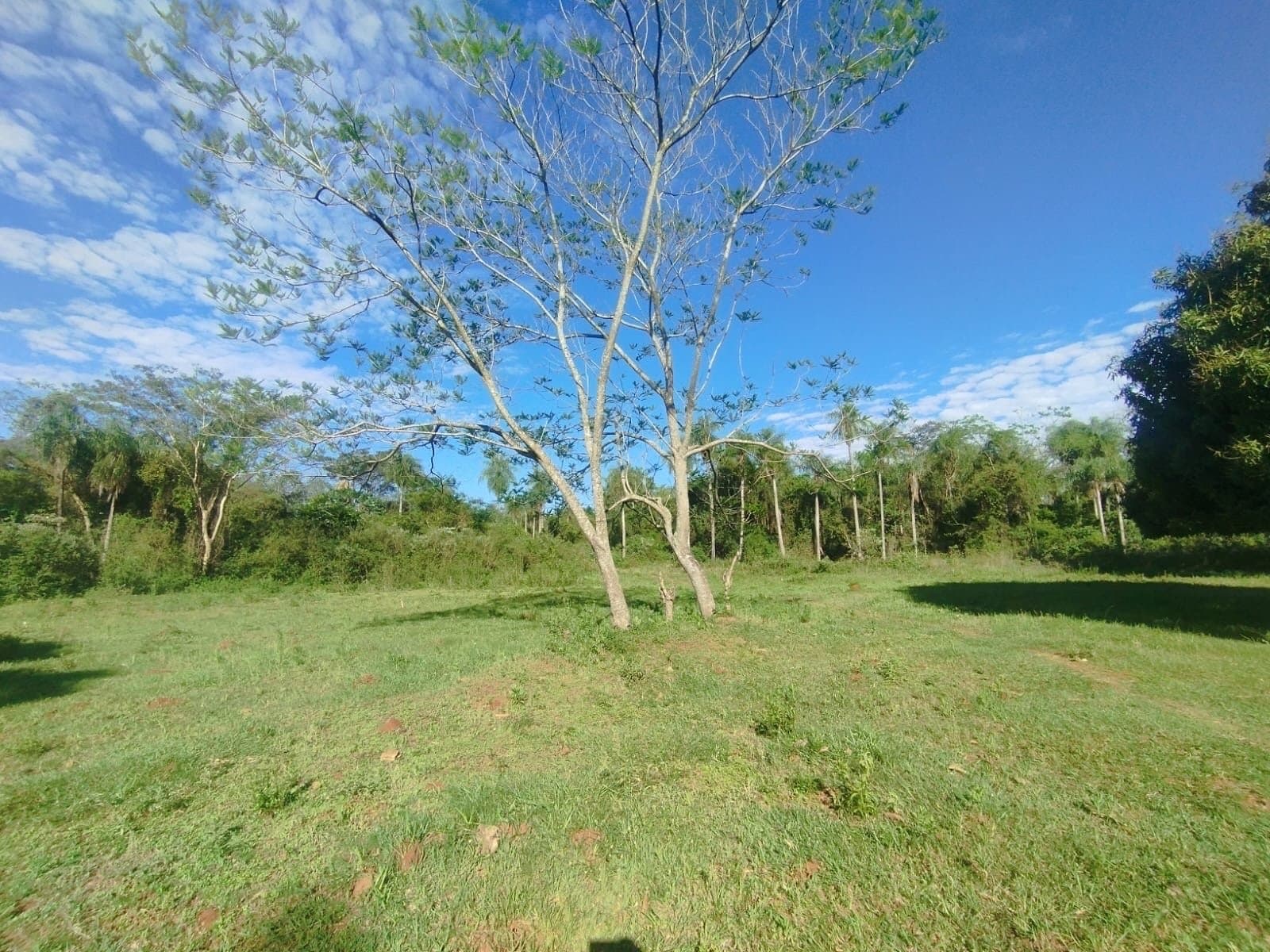 En venta amplio terreno en Aregua-Pindolo — foto 3