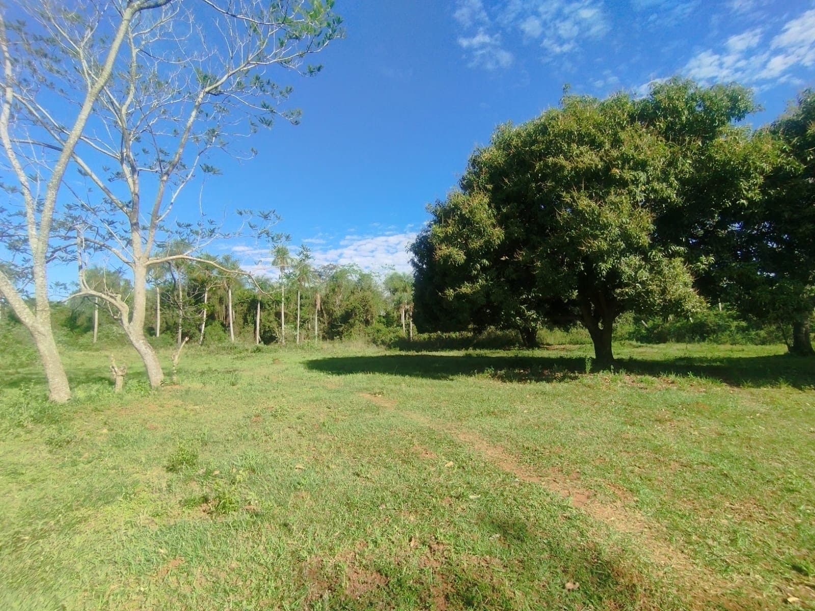 En venta amplio terreno en Aregua-Pindolo — foto 4