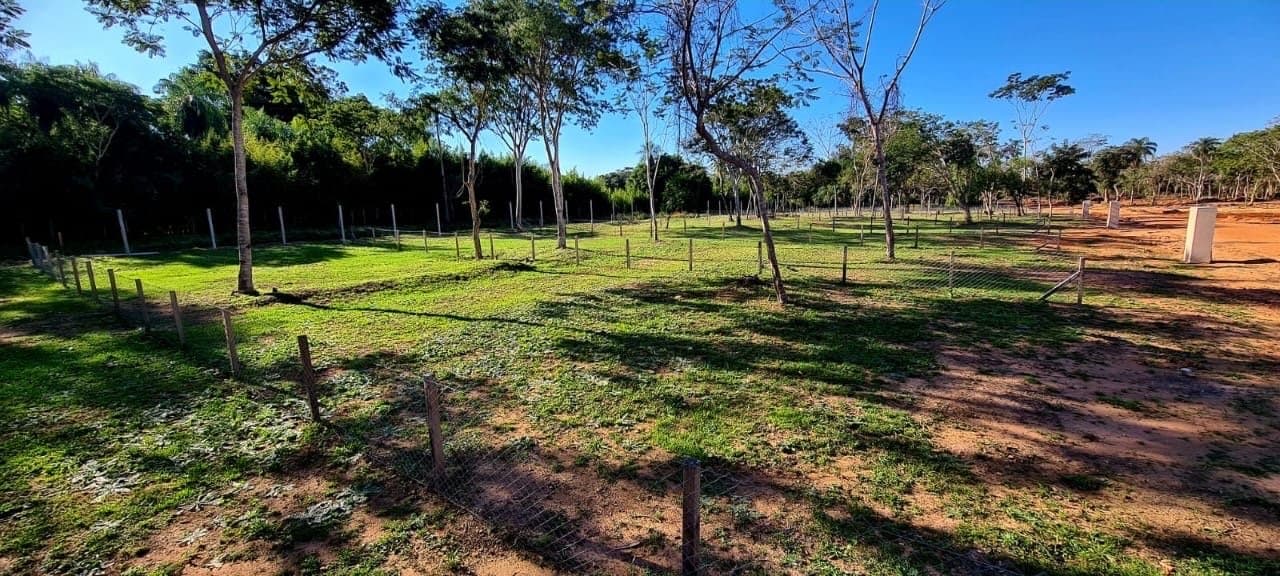 Proyecto Areguá Forest En Pozo — foto 2