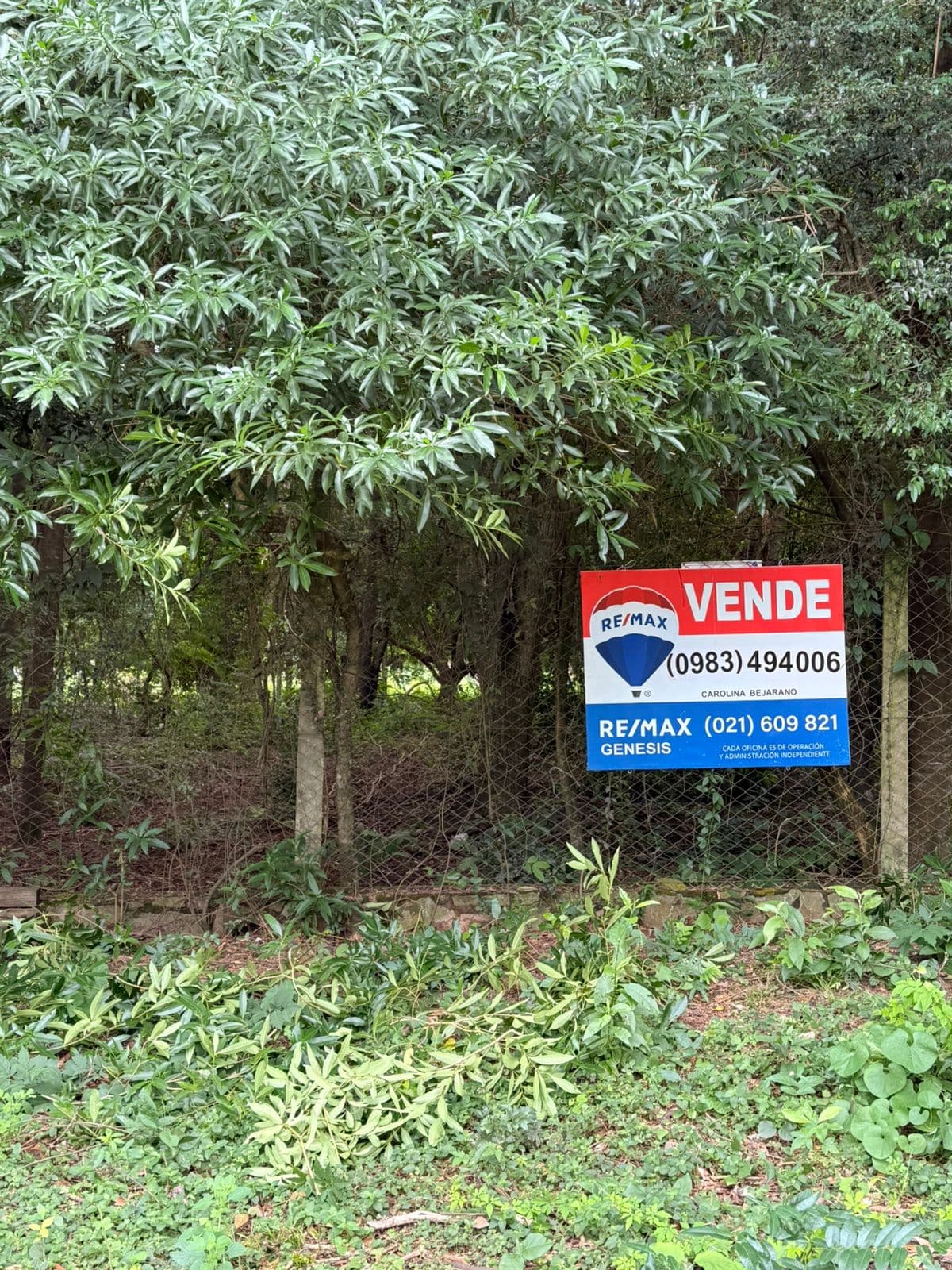 Terreno en San Bernardino — foto 2