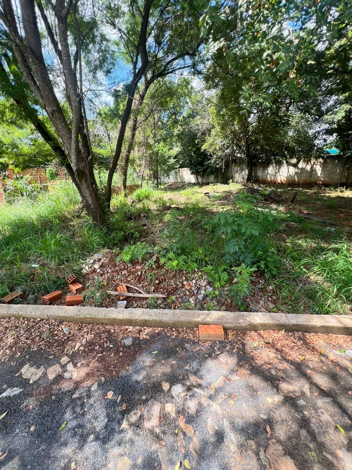 Terreno en oferta en villa amelia San Lorenzo a pasos de Pinedo, foto 2