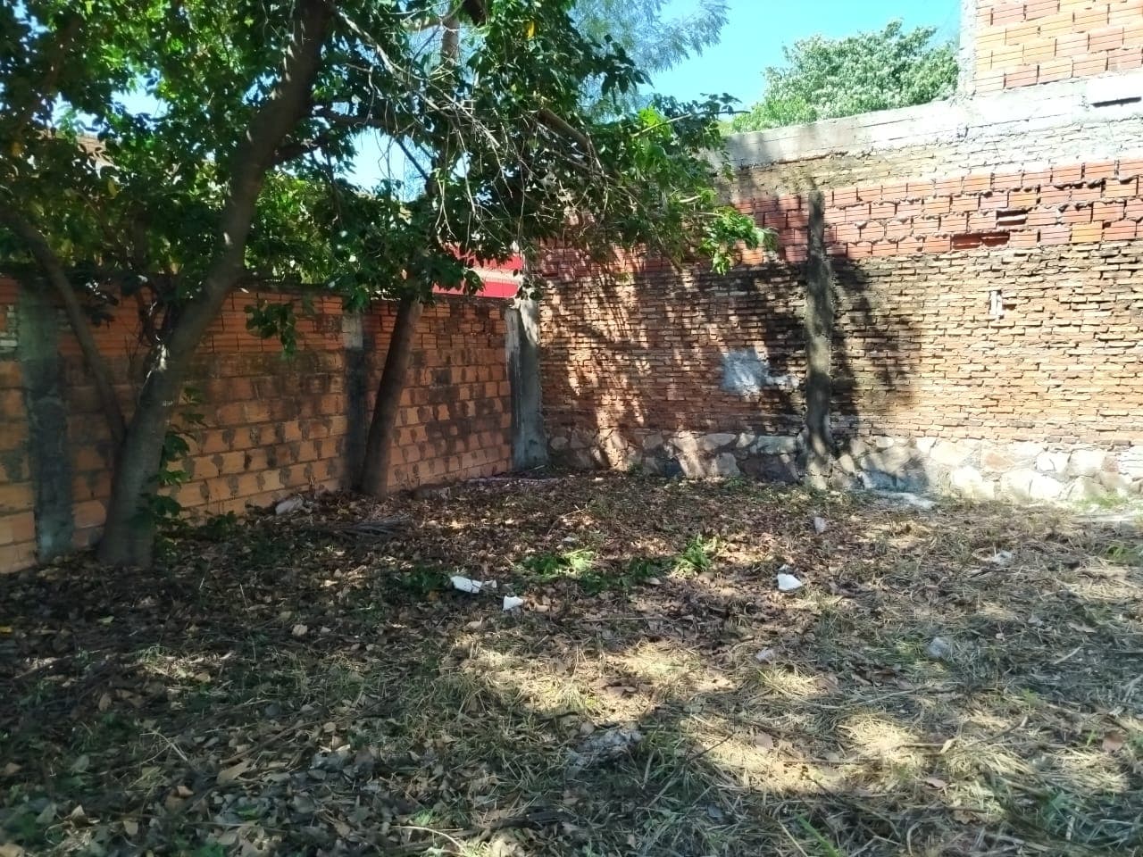 Oportunidad única! Vendo terreno en Luque, foto 2
