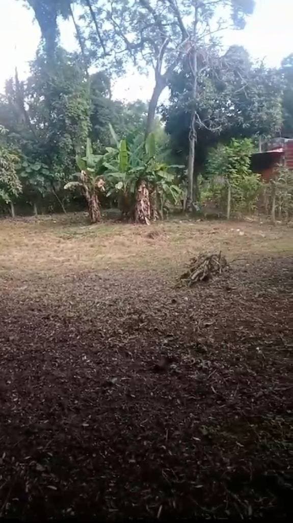 Aregua centro, propiedad de 1 ha, foto 3