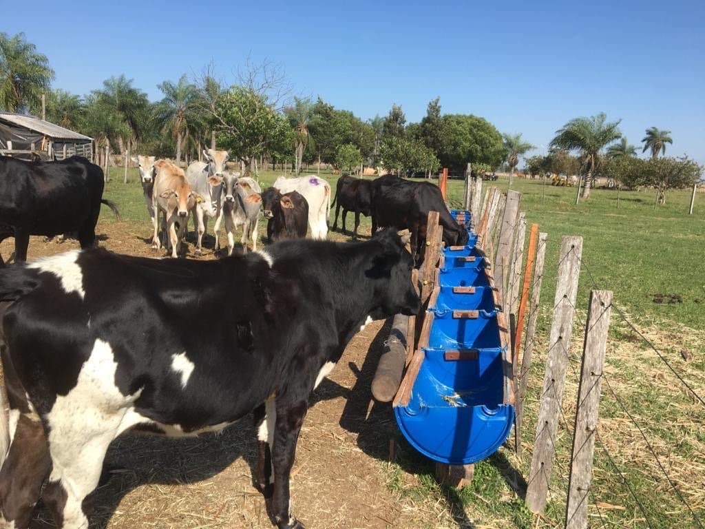 Campo de 90 hectareas- Listo para producir, foto 3