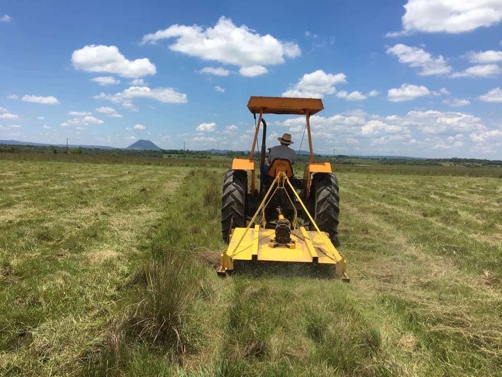 Campo de 90 hectareas- Listo para producir, foto 2