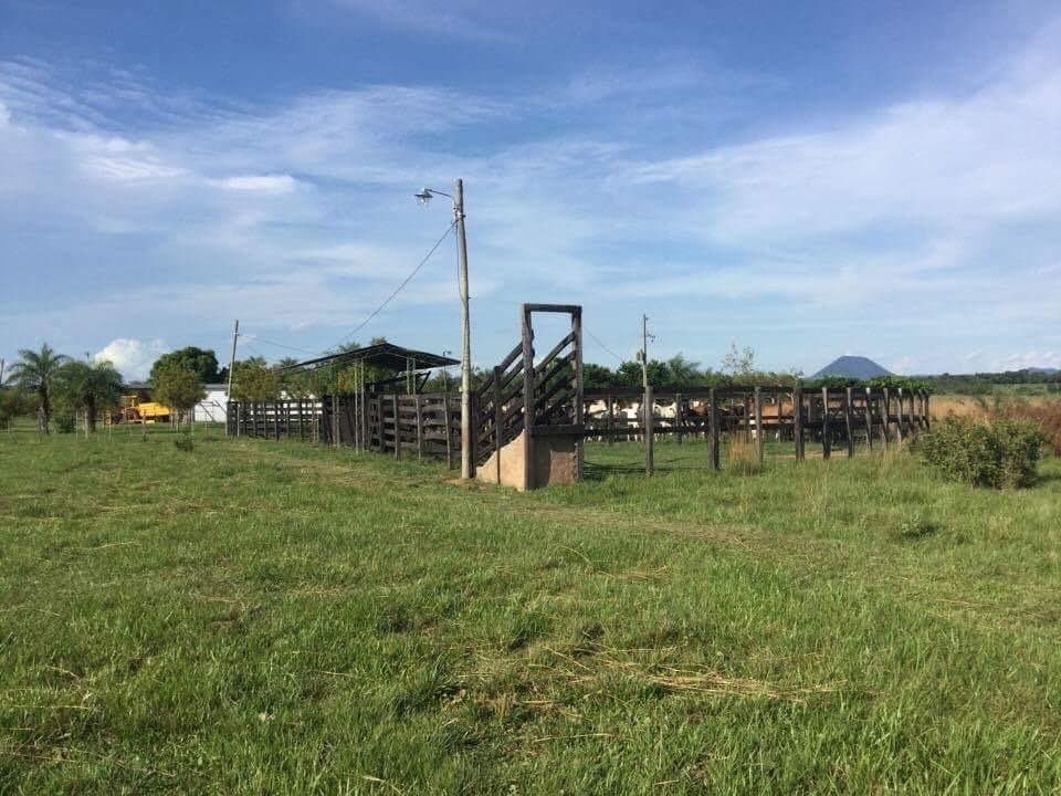 Campo de 90 hectareas- Listo para producir, foto 4