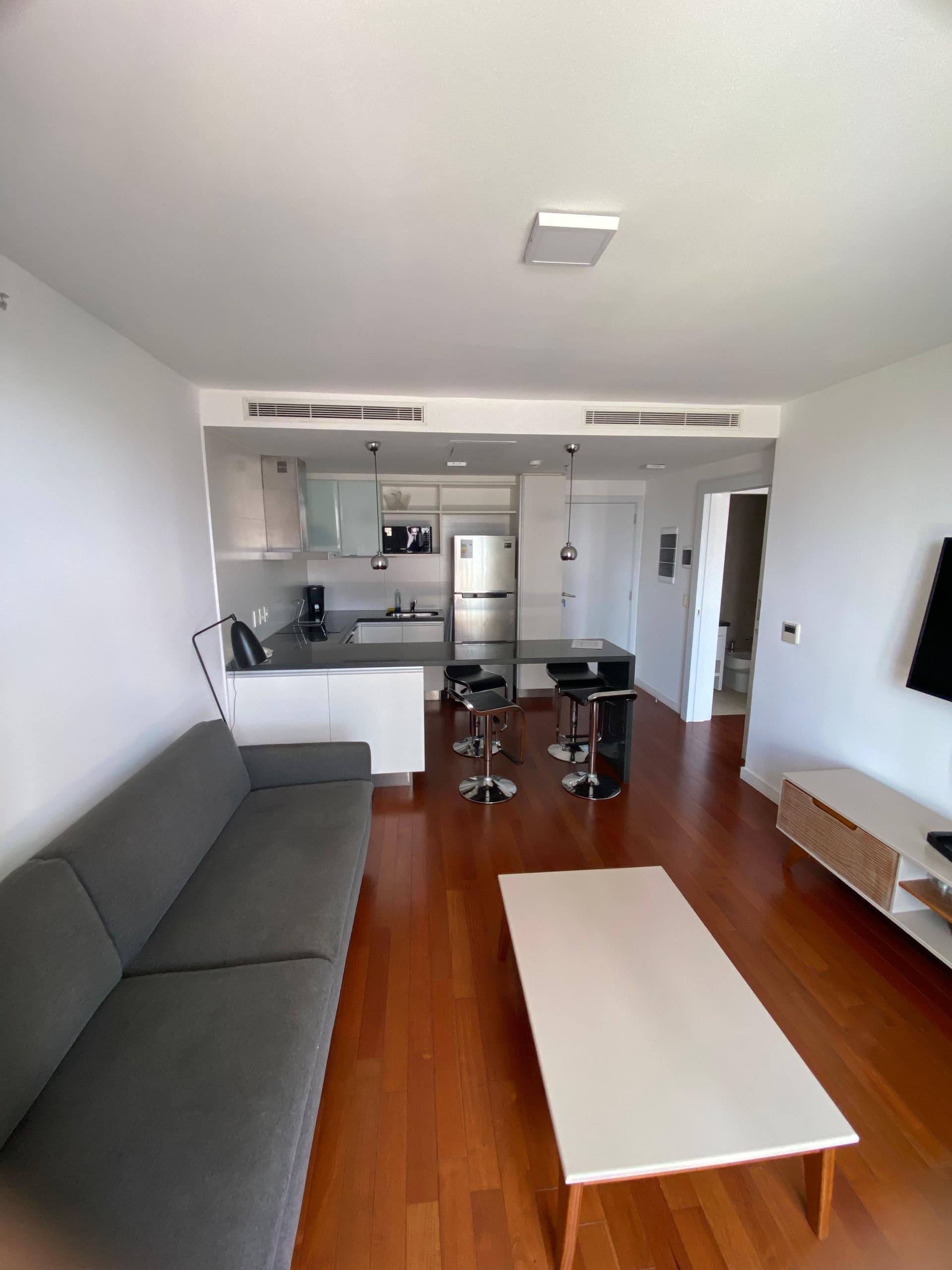 Departamento Amoblado de 1 dormitorio - Sky Tower, foto 1