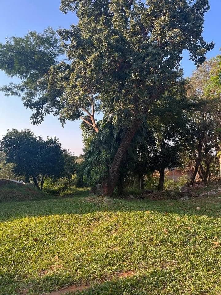 Terreno en San Lorenzo Barcequillo, foto 2
