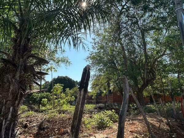 Terreno en oferta en lambare, foto 3