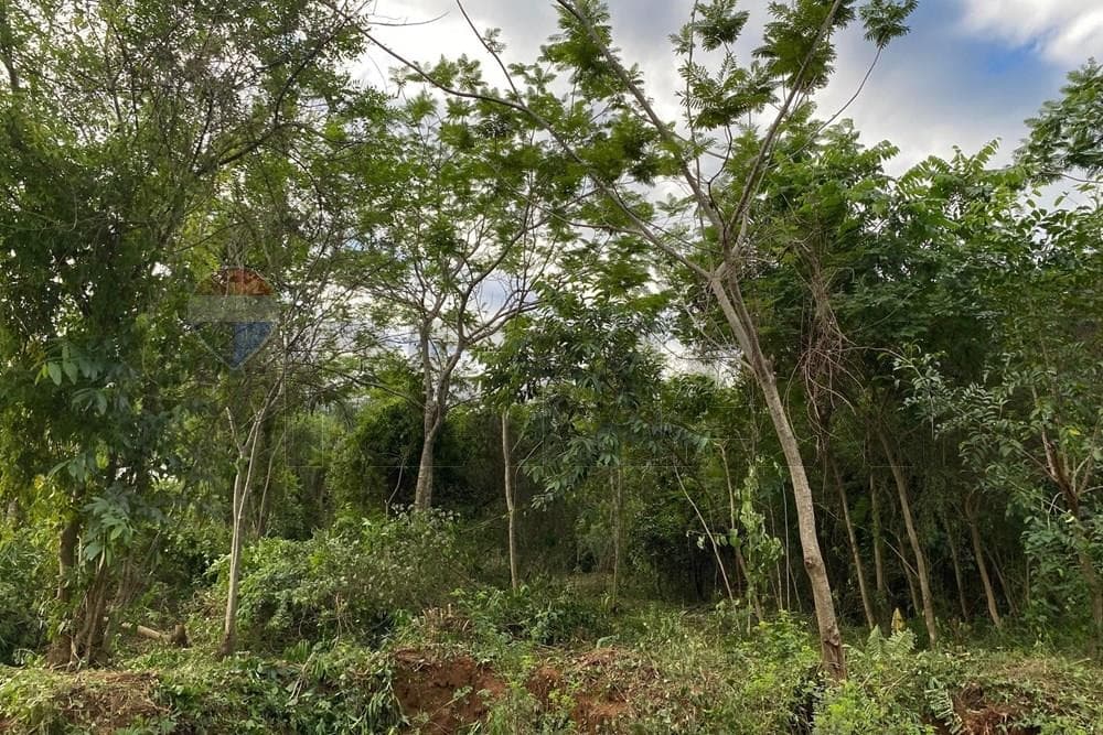 En Venta Terreno Emboscada