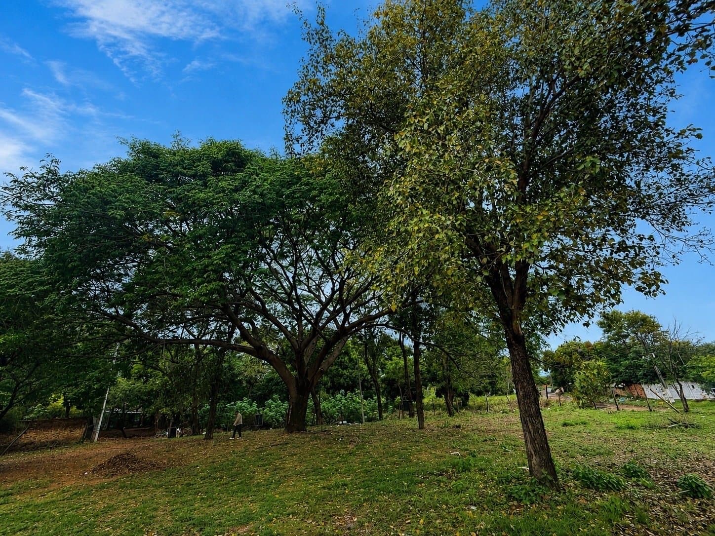 Terrenos en Ita Enramada — foto 2