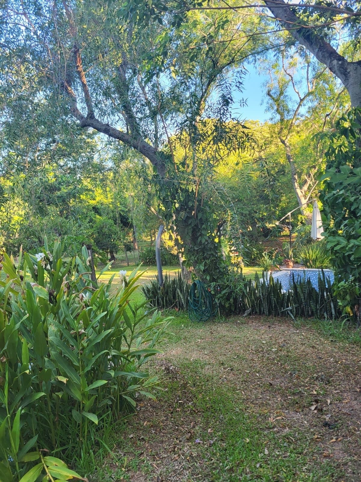 Quinta en Marambure - Luque — foto 2