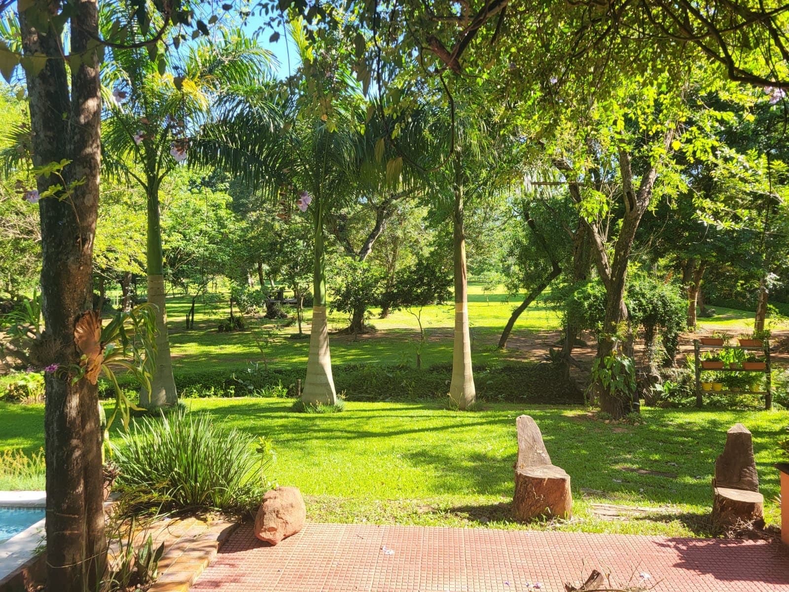 Quinta en Marambure - Luque — foto 4