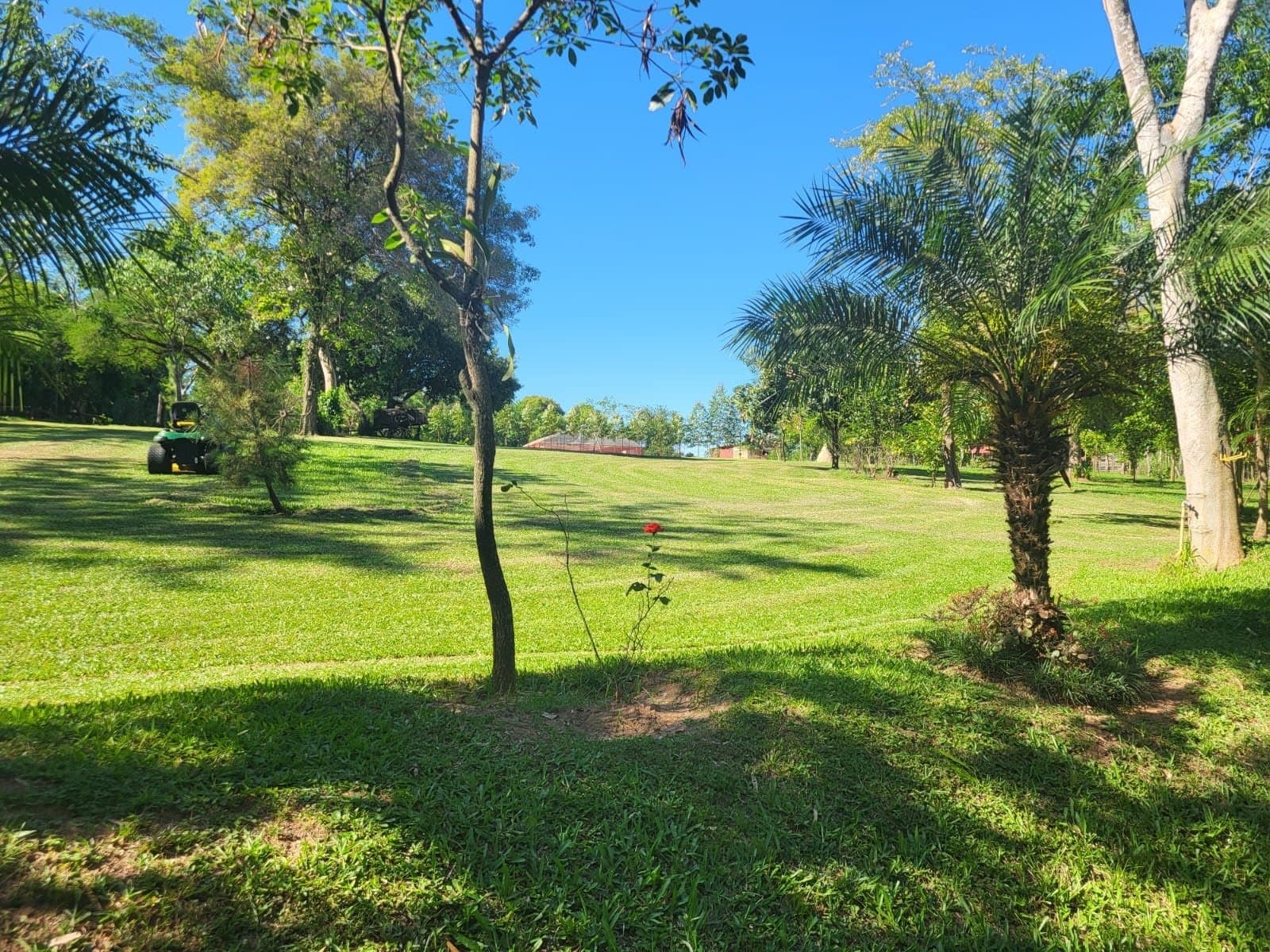 Quinta en Marambure - Luque — foto 5