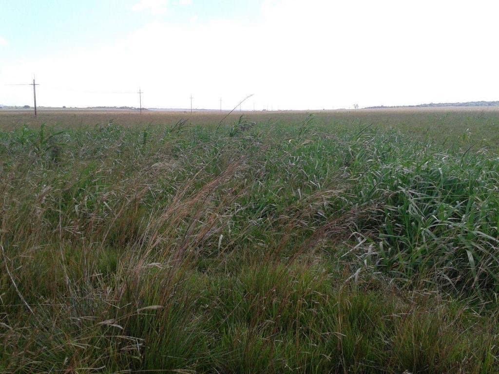 90 Hectareas En Ybycui, foto 4