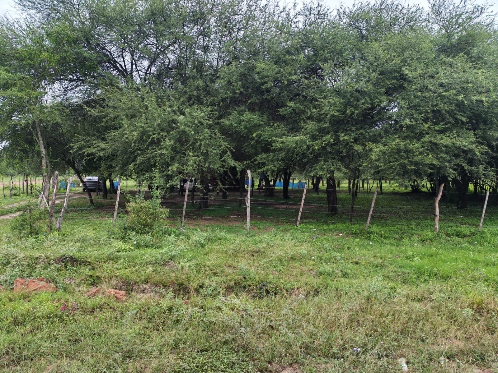 Terreno Chaco'I Nueva Aduncion, foto 4