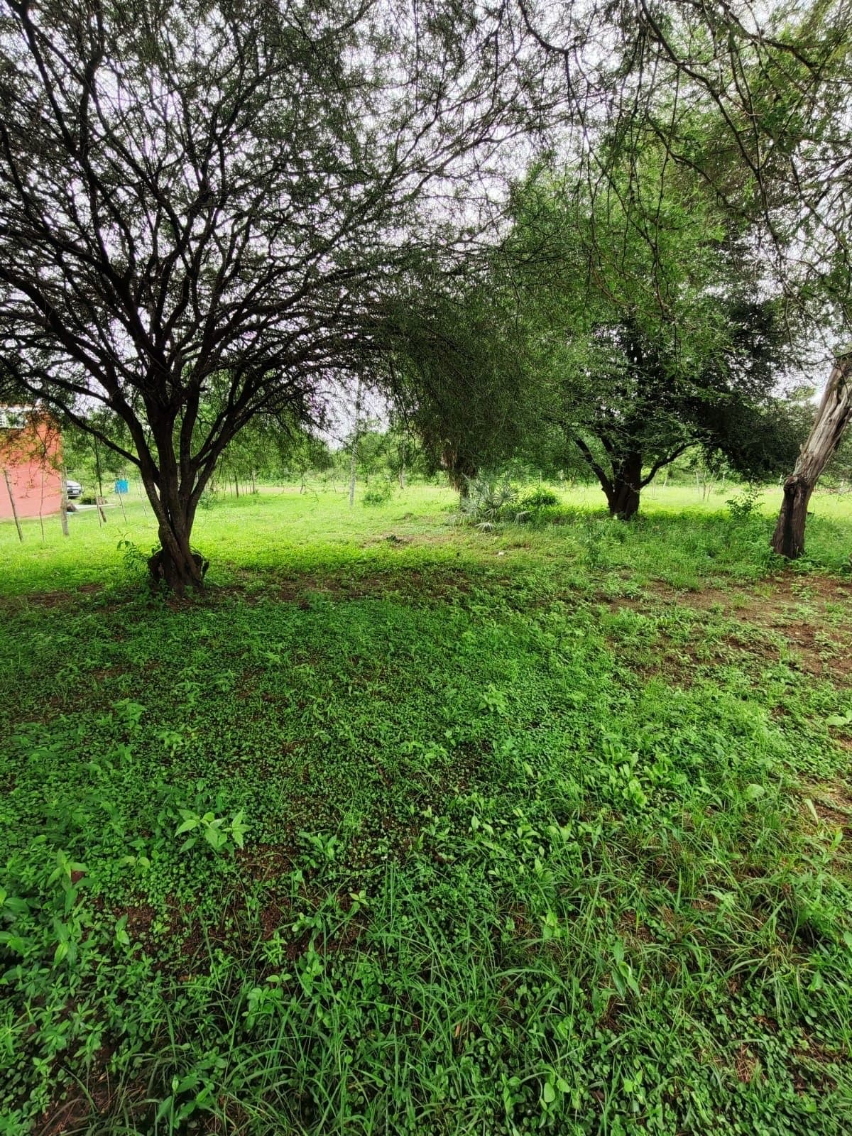 Terreno Chaco'I Nueva Aduncion, foto 3